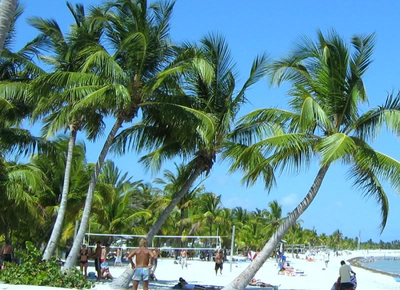 how-to-buy-miami-condo-investments